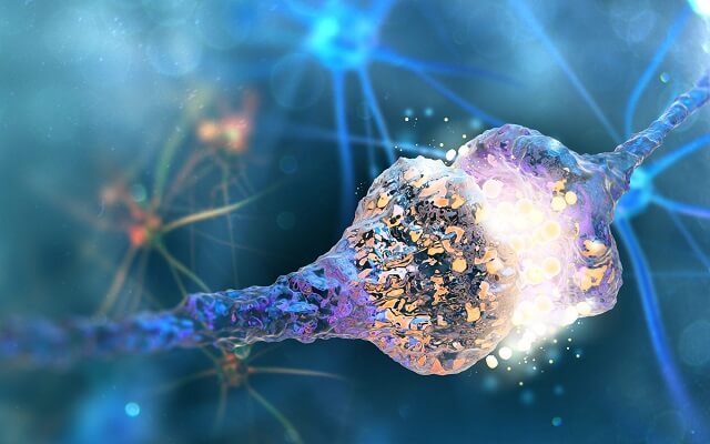 Liệu pháp y học tái sinh với trọng tâm là công nghệ tế bào gốc được kỳ vọng là phương pháp điều trị mới của y học